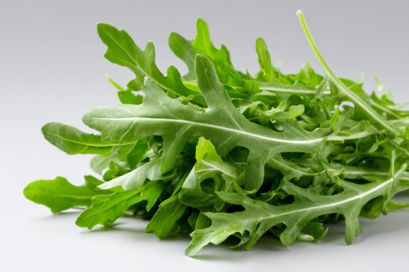 Arugula (Eruca vesicaria)