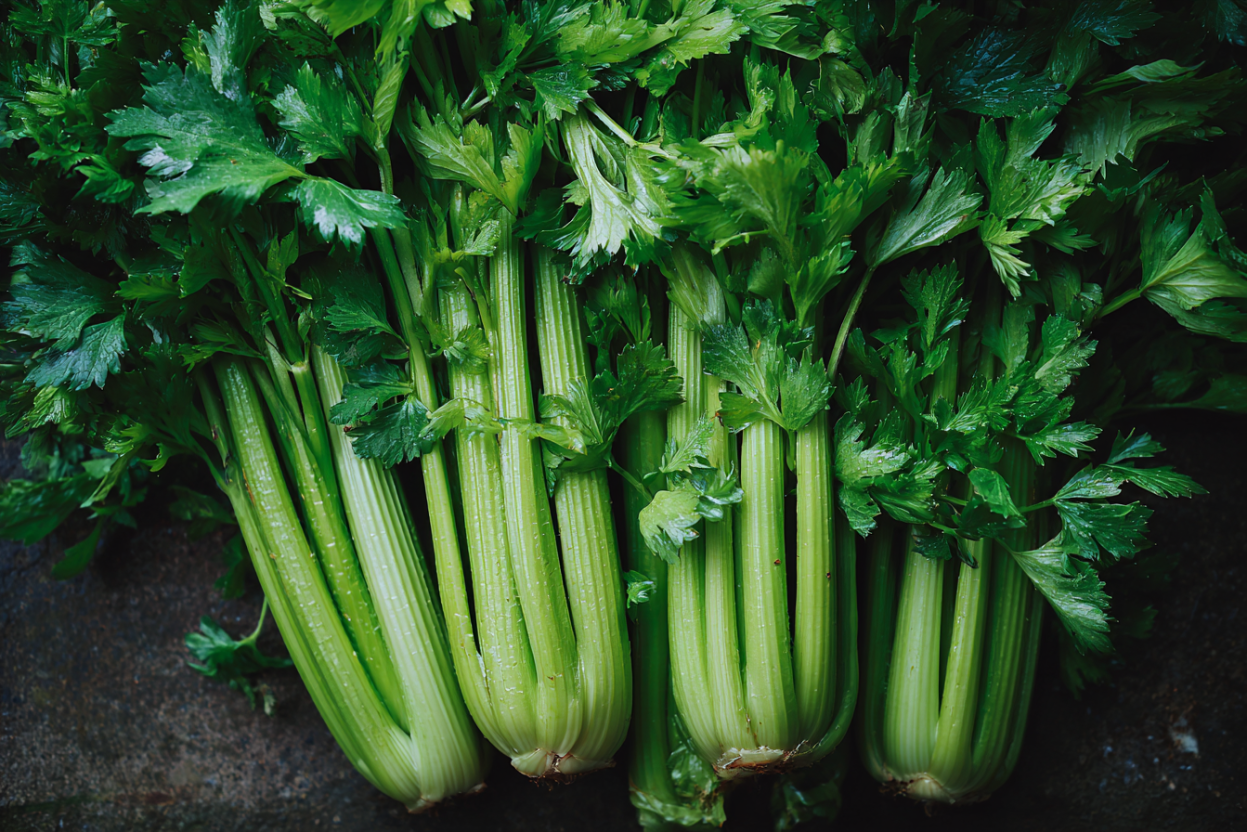 Celery (Apium graveolens)